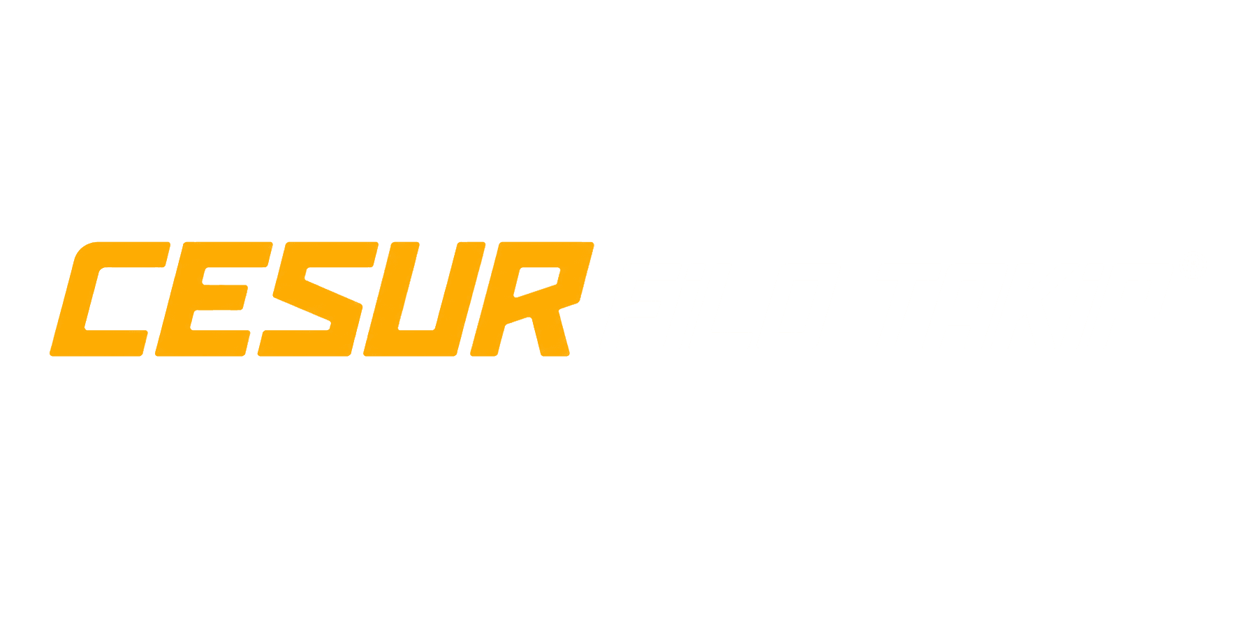 Cesur Filo Takip